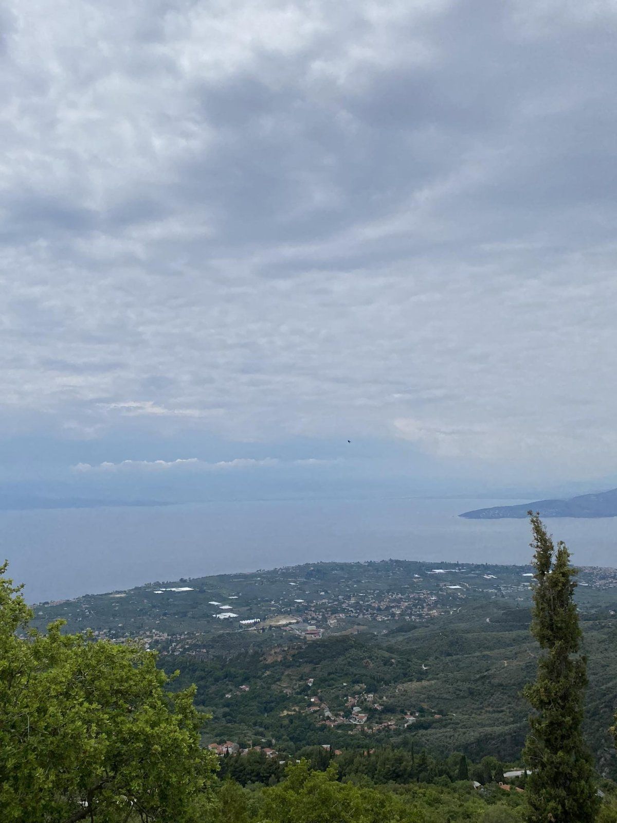 εικόνα_Viber_2023-06-13_18-05-37-390